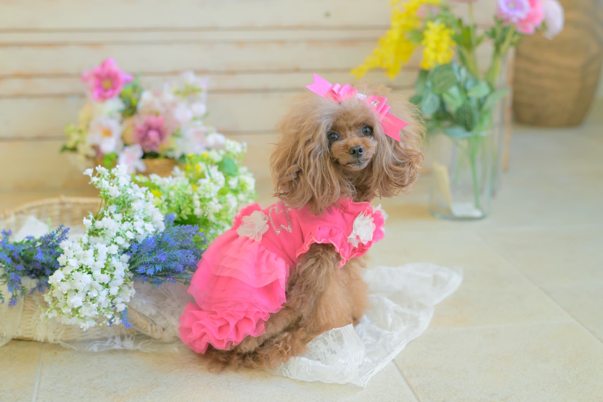 新色　1130 ﾁｭｰﾙﾌﾘﾙｽｶｰﾄ