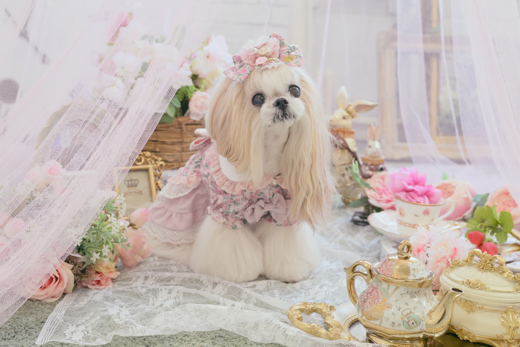 1187薔薇の国のアリスワンピース ピンク – 【公式】CanNana（きゃん