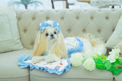 オリジナルアリス柄 COOL ピロー