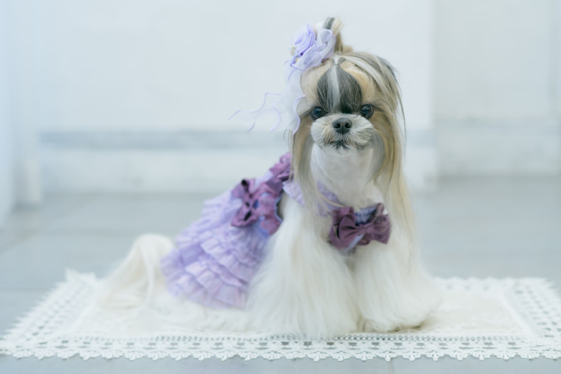 サテンドレスアップワンピース