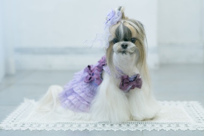 サテンドレスアップワンピース