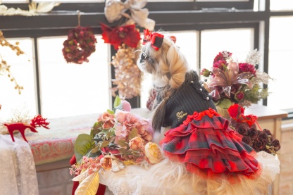 リブ×タータンチェックドッキングワンピース