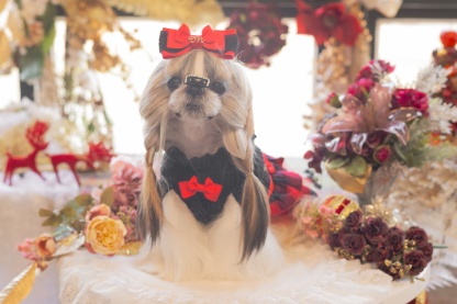 リブ×タータンチェックドッキングワンピース