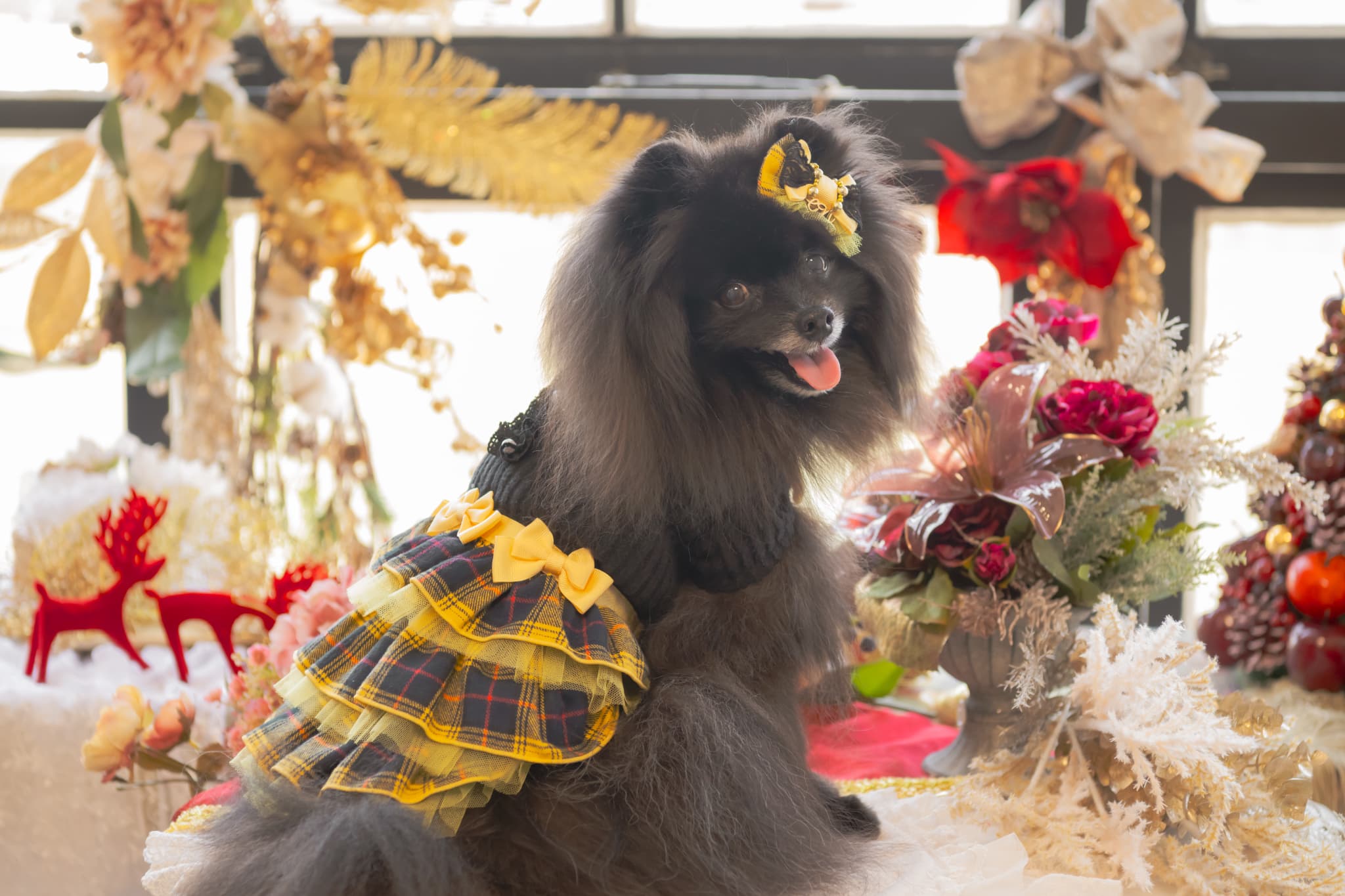 リブ×タータンチェックドッキングワンピース