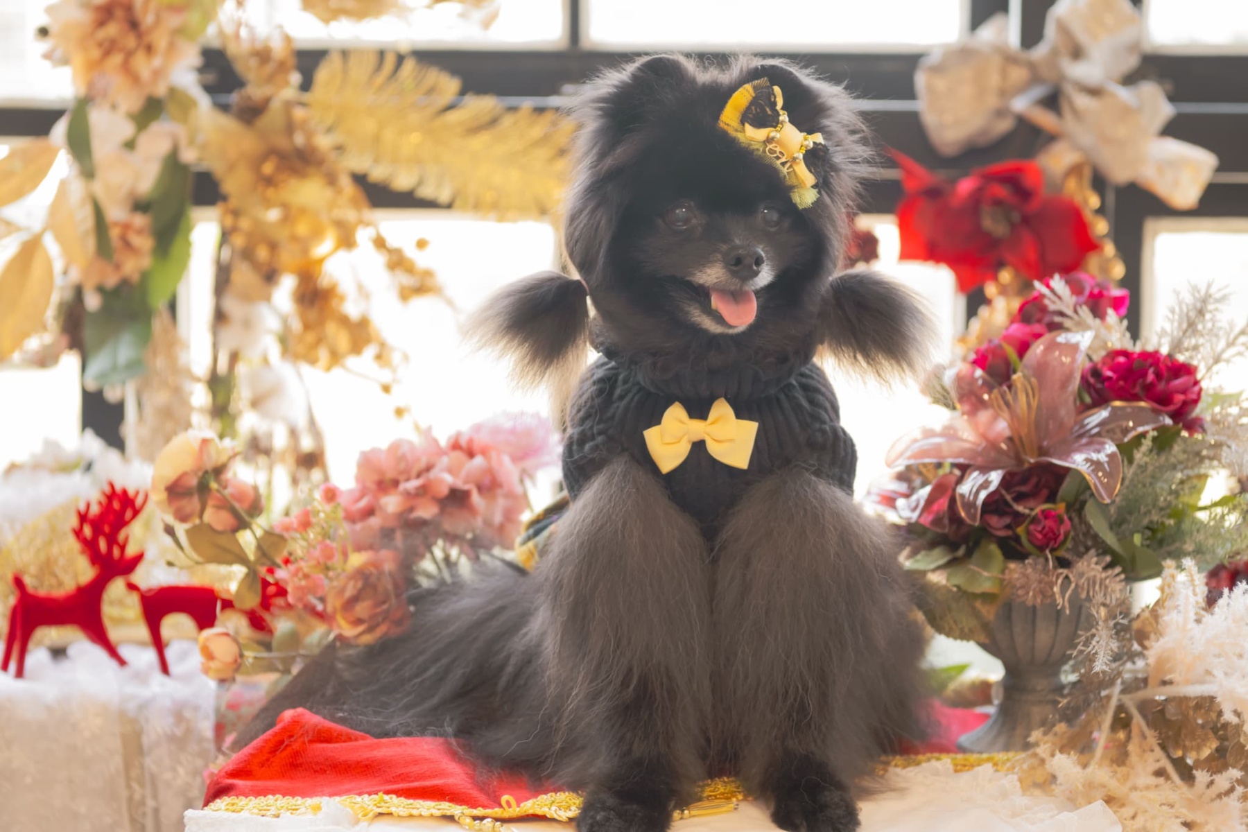 リブ×タータンチェックドッキングワンピース