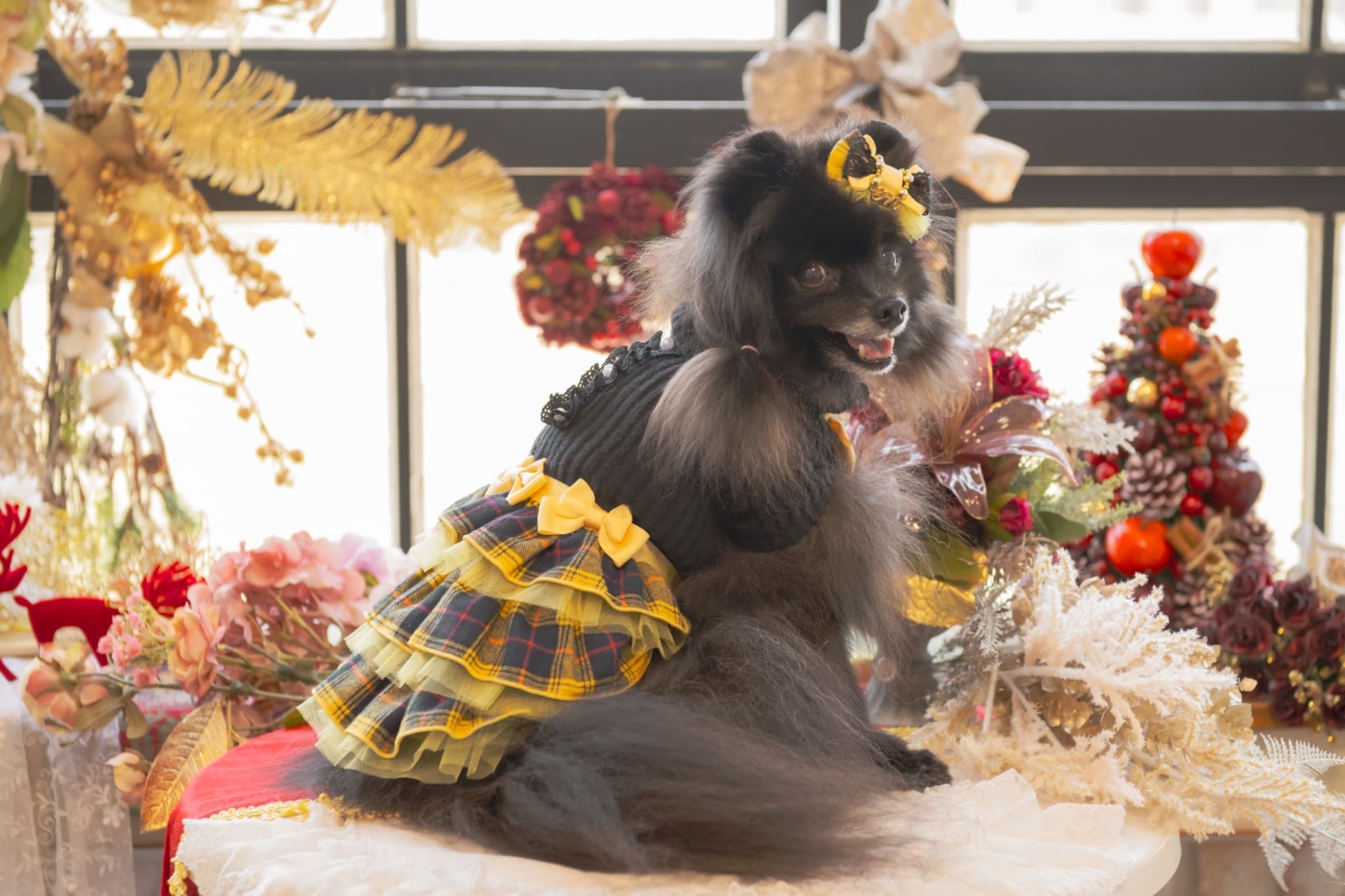 リブ×タータンチェックドッキングワンピース