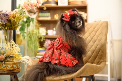 白襟タータンチェックワンピー