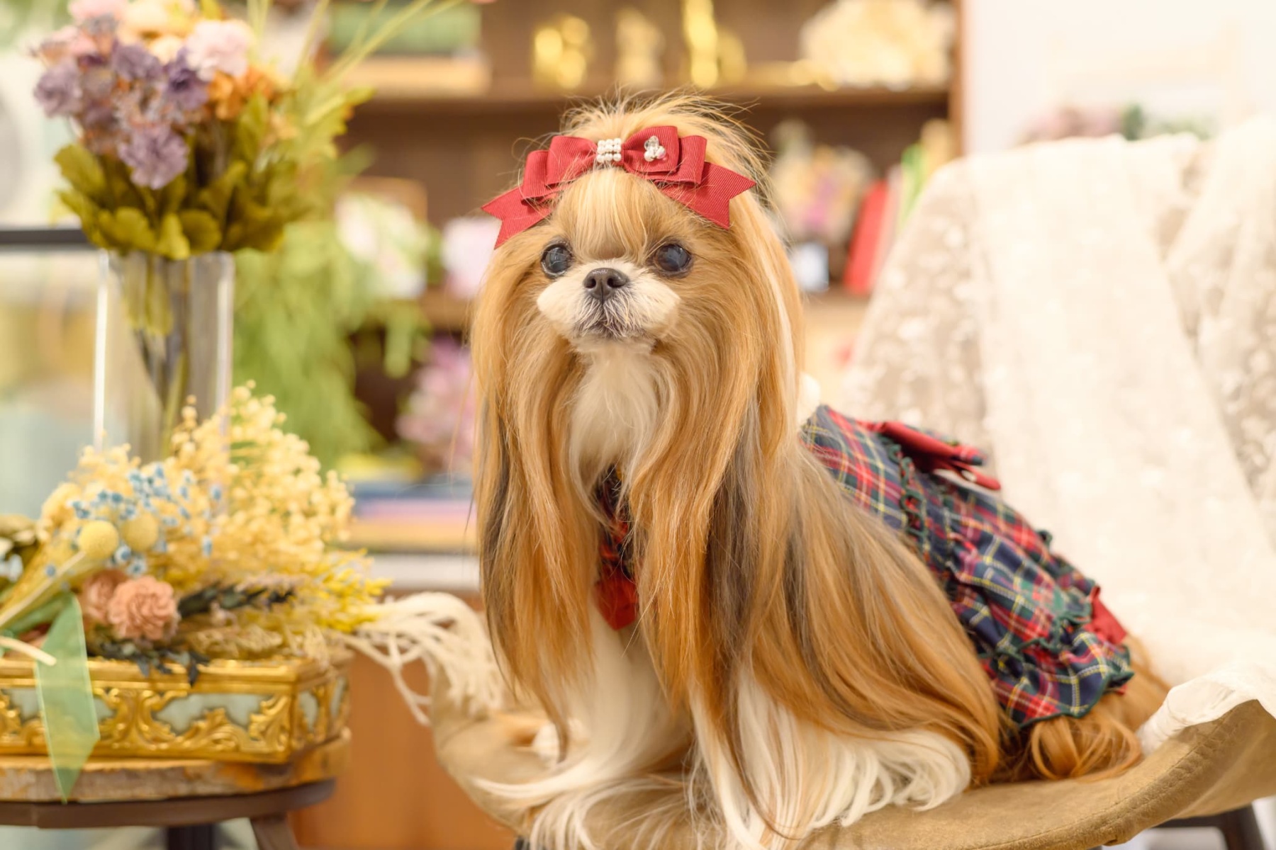 白襟タータンチェックワンピー