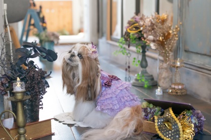 サテンドレスアップワンピース