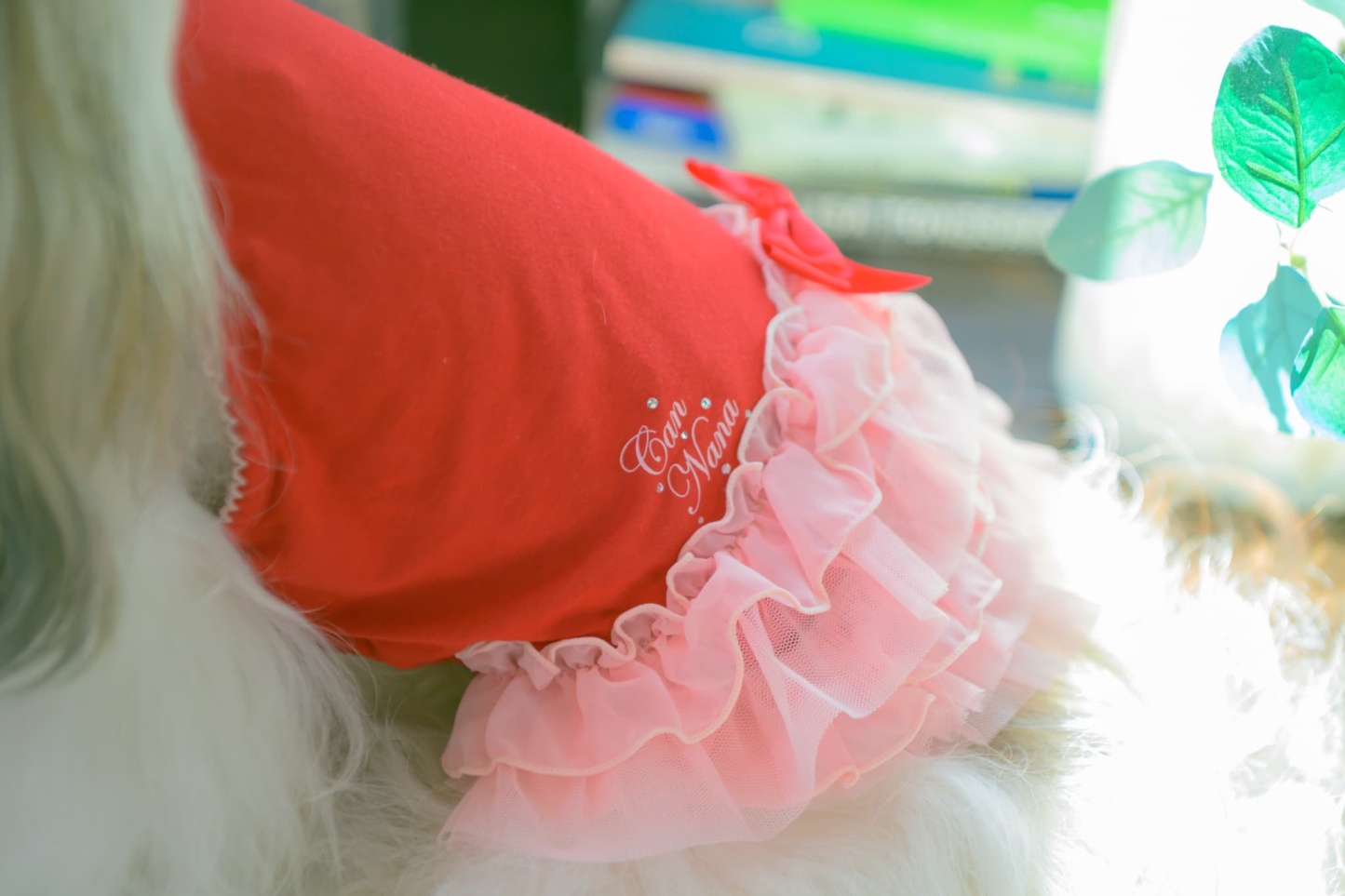 1175 適温キープアウトラストフリルキャミ　