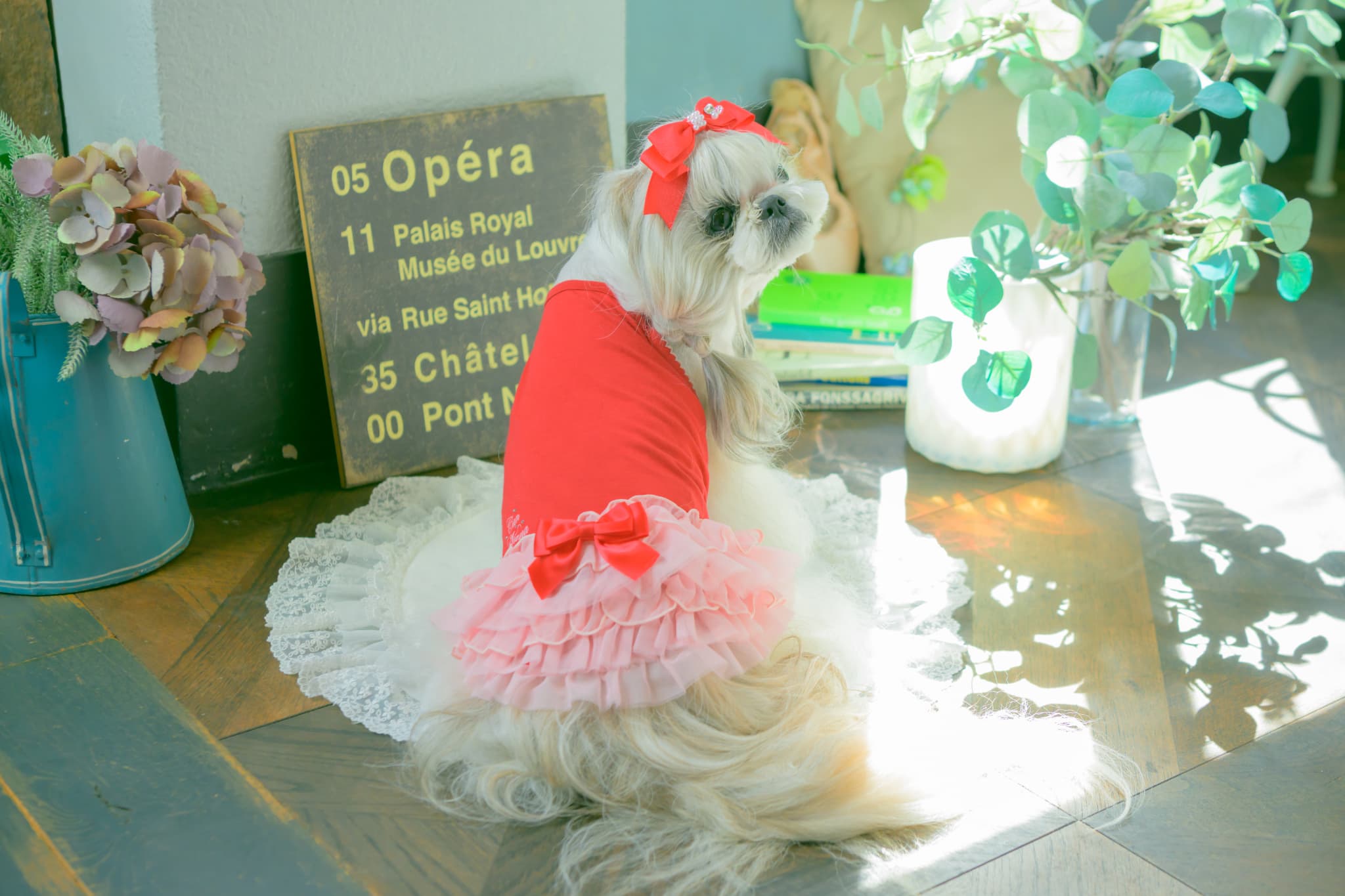 1175 適温キープアウトラストフリルキャミ　