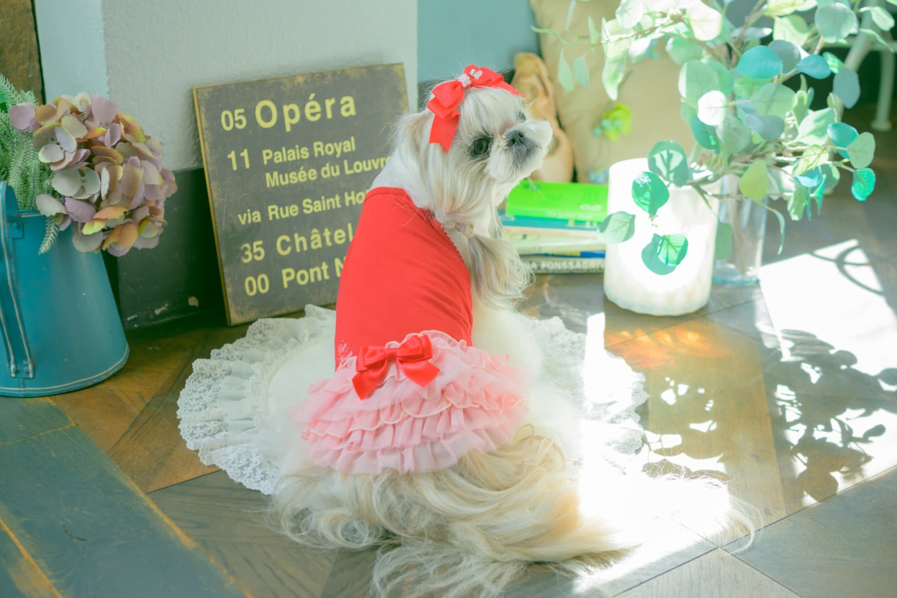 1175 適温キープアウトラストフリルキャミ　