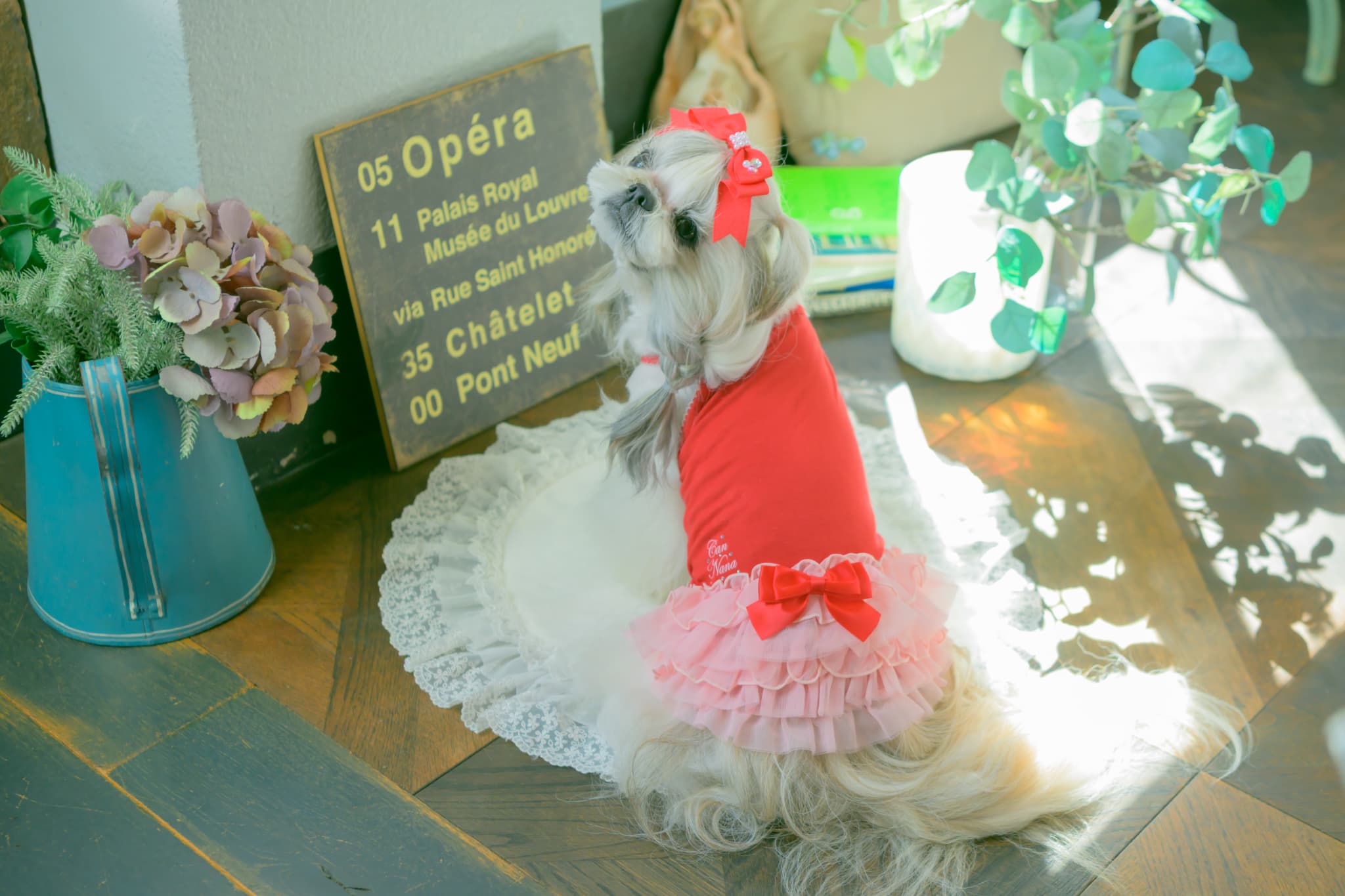 1175 適温キープアウトラストフリルキャミ　