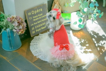 1175 適温キープアウトラストフリルキャミ　