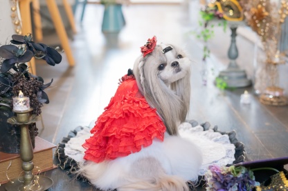 サテンドレスアップワンピース