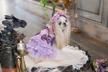 サテンドレスアップワンピース