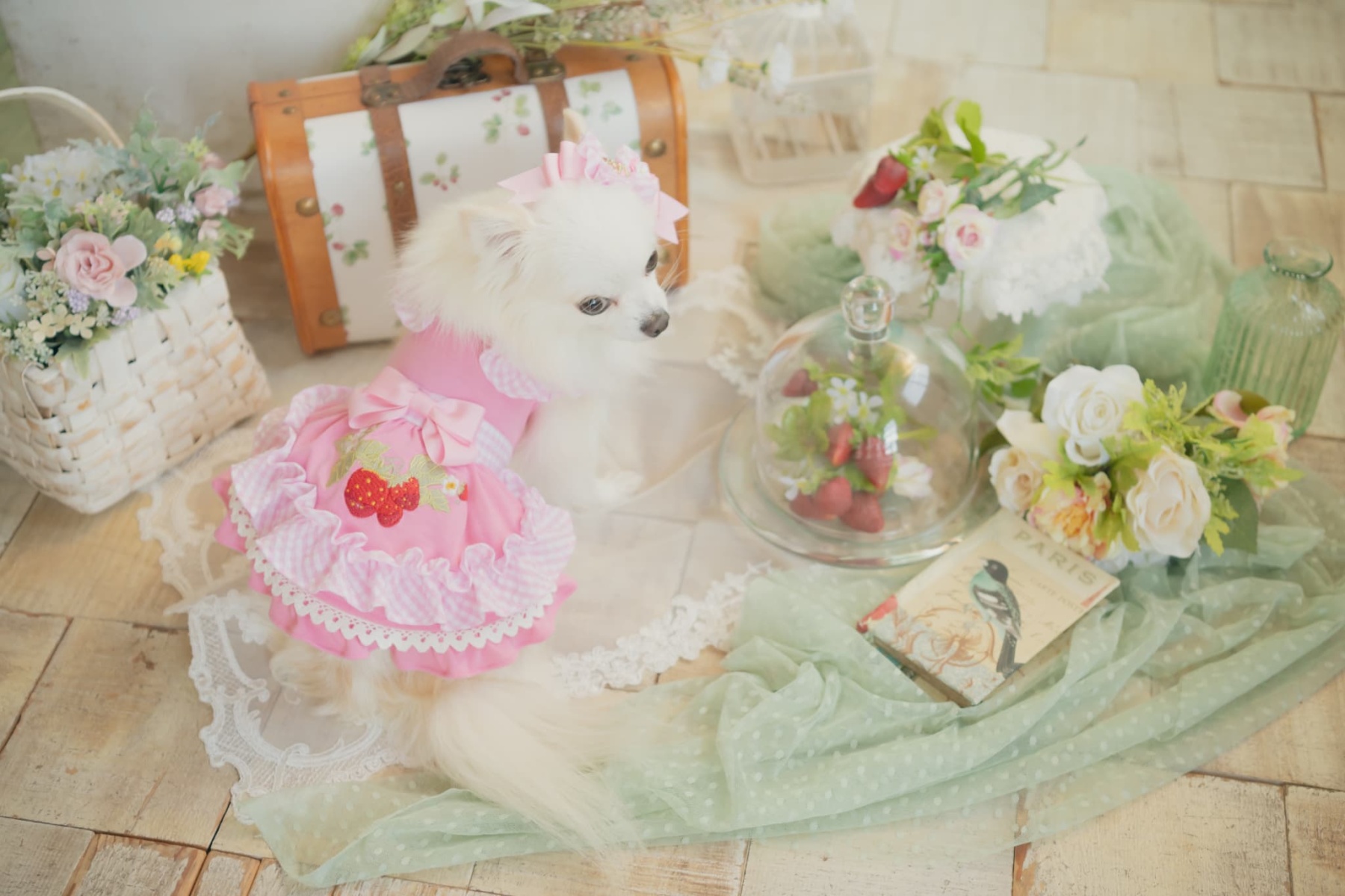 レトロいちごギンガムフリルワンピース