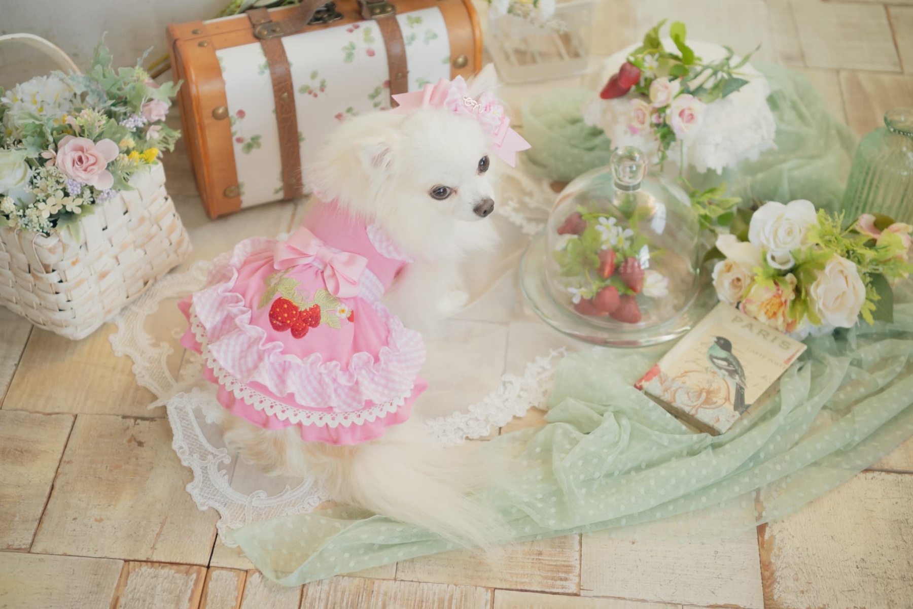 レトロいちごギンガムフリルワンピース