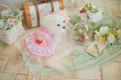 レトロいちごギンガムフリルワンピース