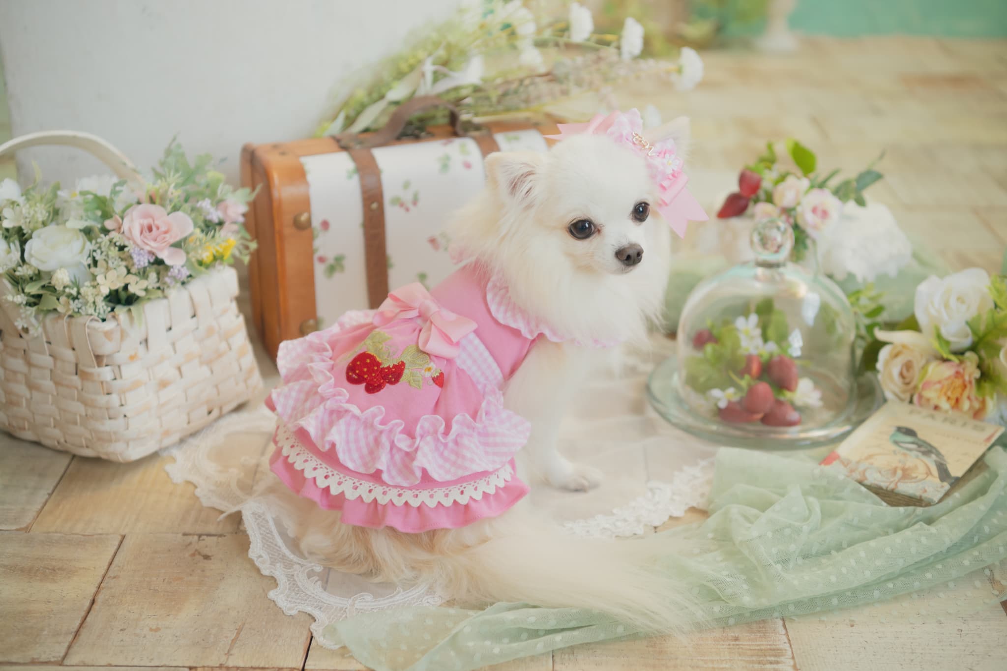 レトロいちごギンガムフリルワンピース