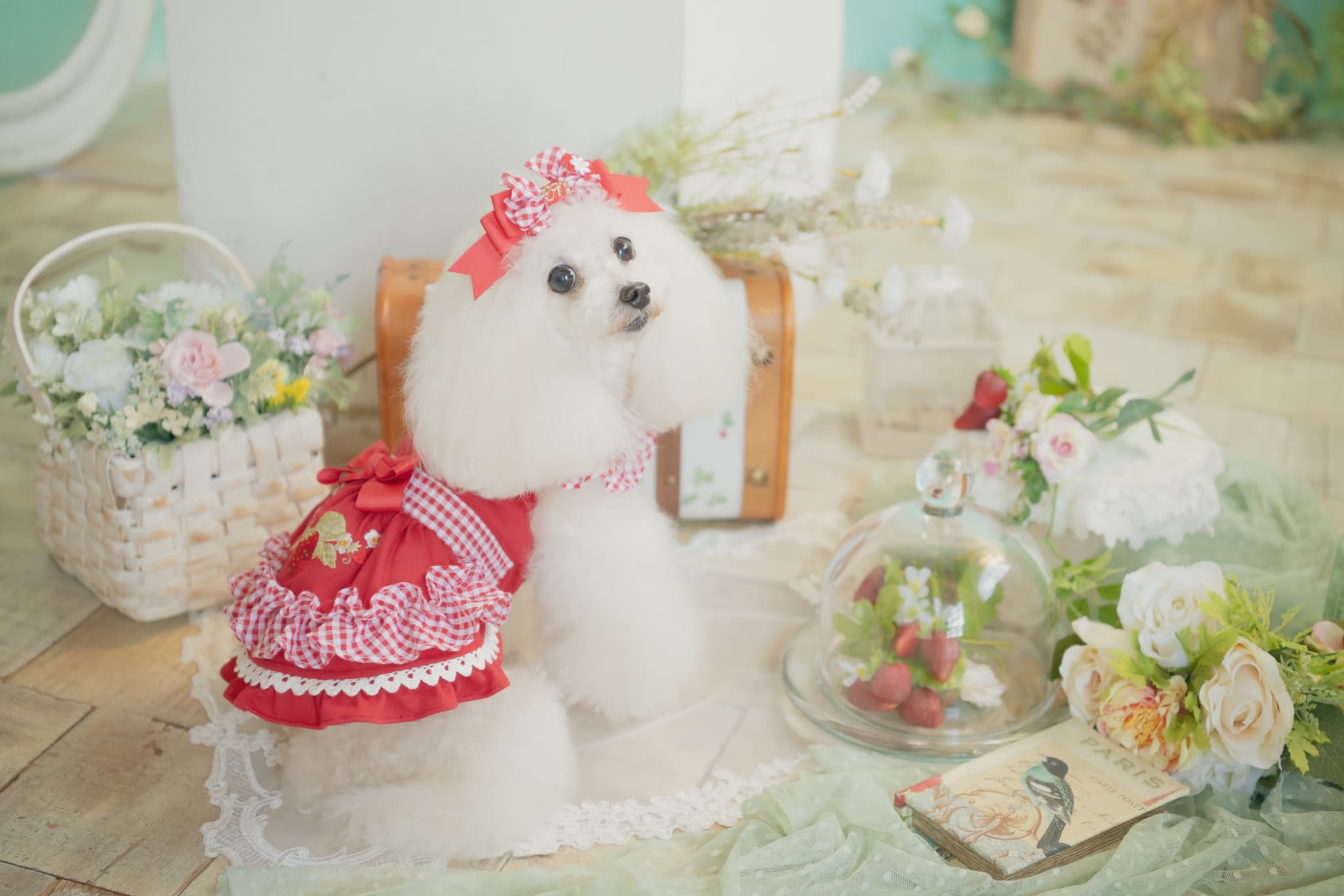 レトロいちごギンガムフリルワンピース