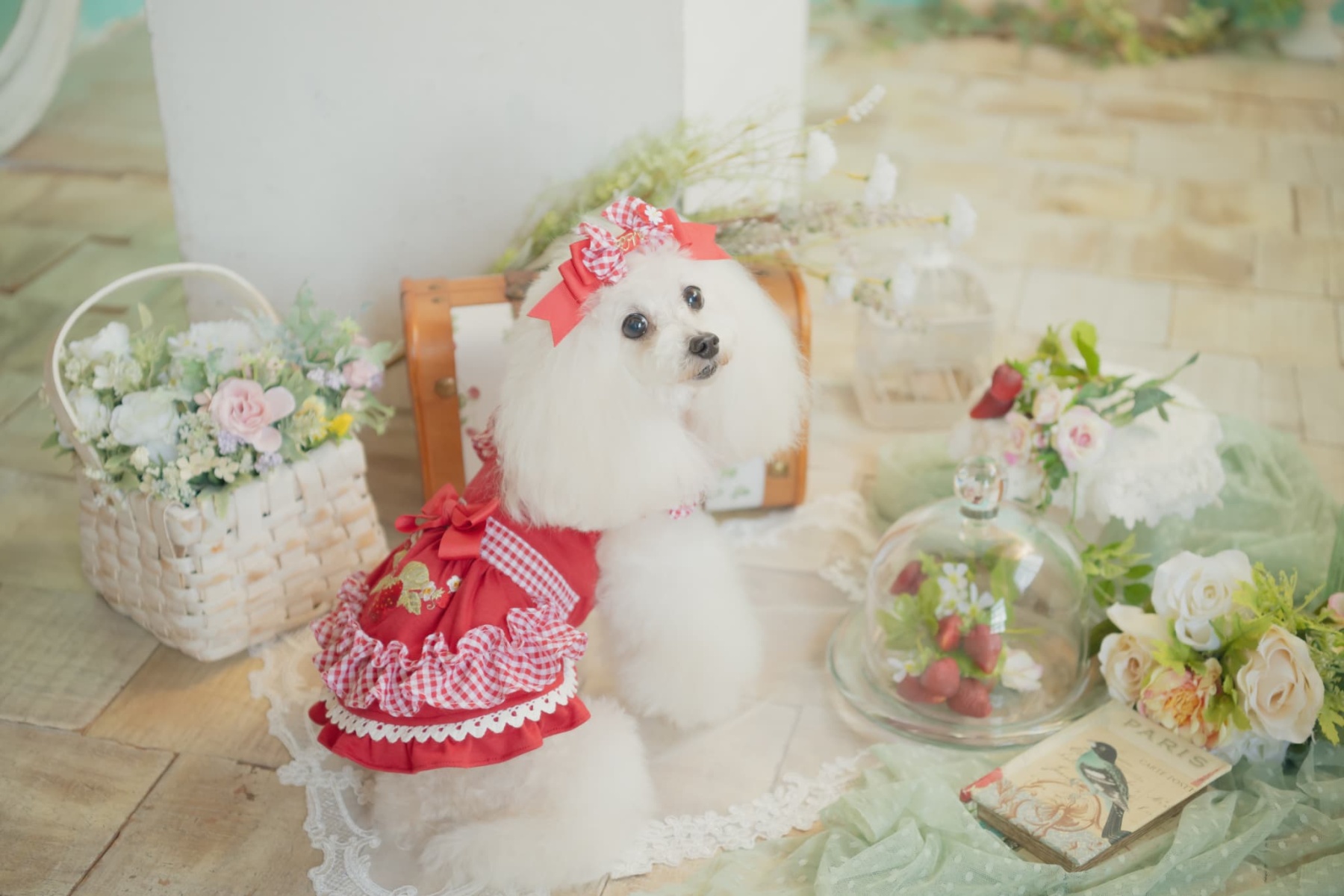 レトロいちごギンガムフリルワンピース