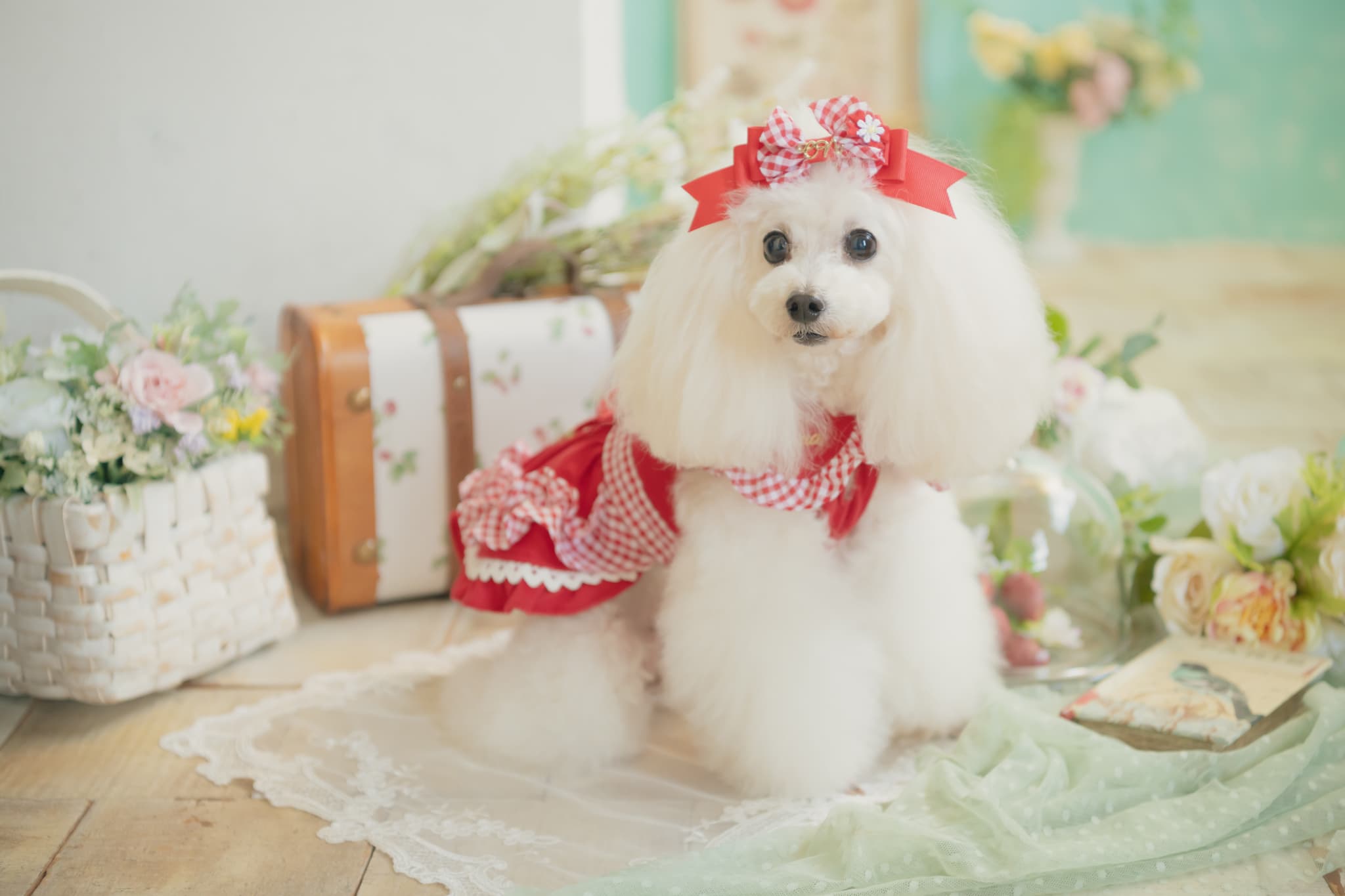 レトロいちごギンガムフリルワンピース