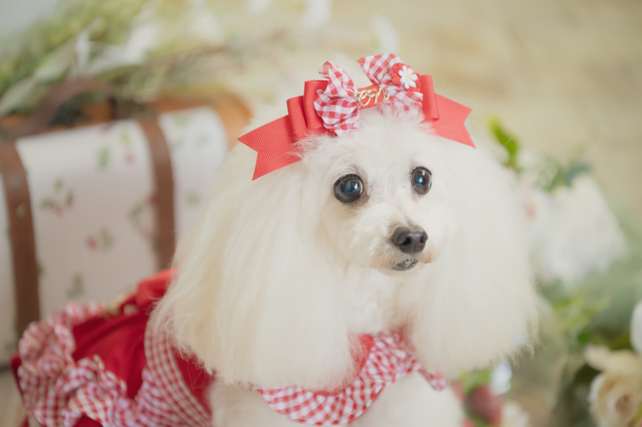 レトロいちごギンガムフリルワンピース