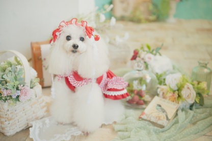 レトロいちごギンガムフリルワンピース