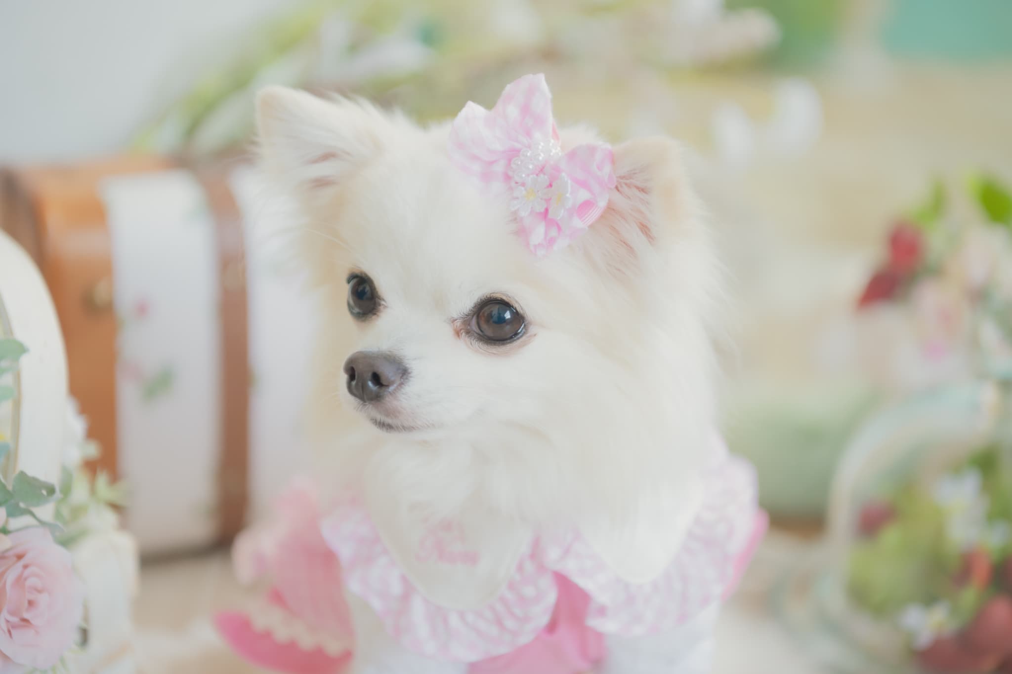 ギンガムチェックミニバレッタリボン