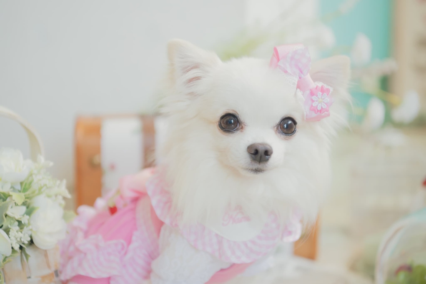 ギンガムチェックミニバレッタリボン