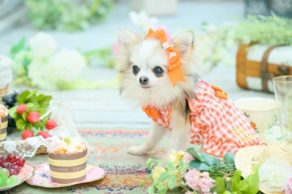 さくらんぼギンガムスモッグ