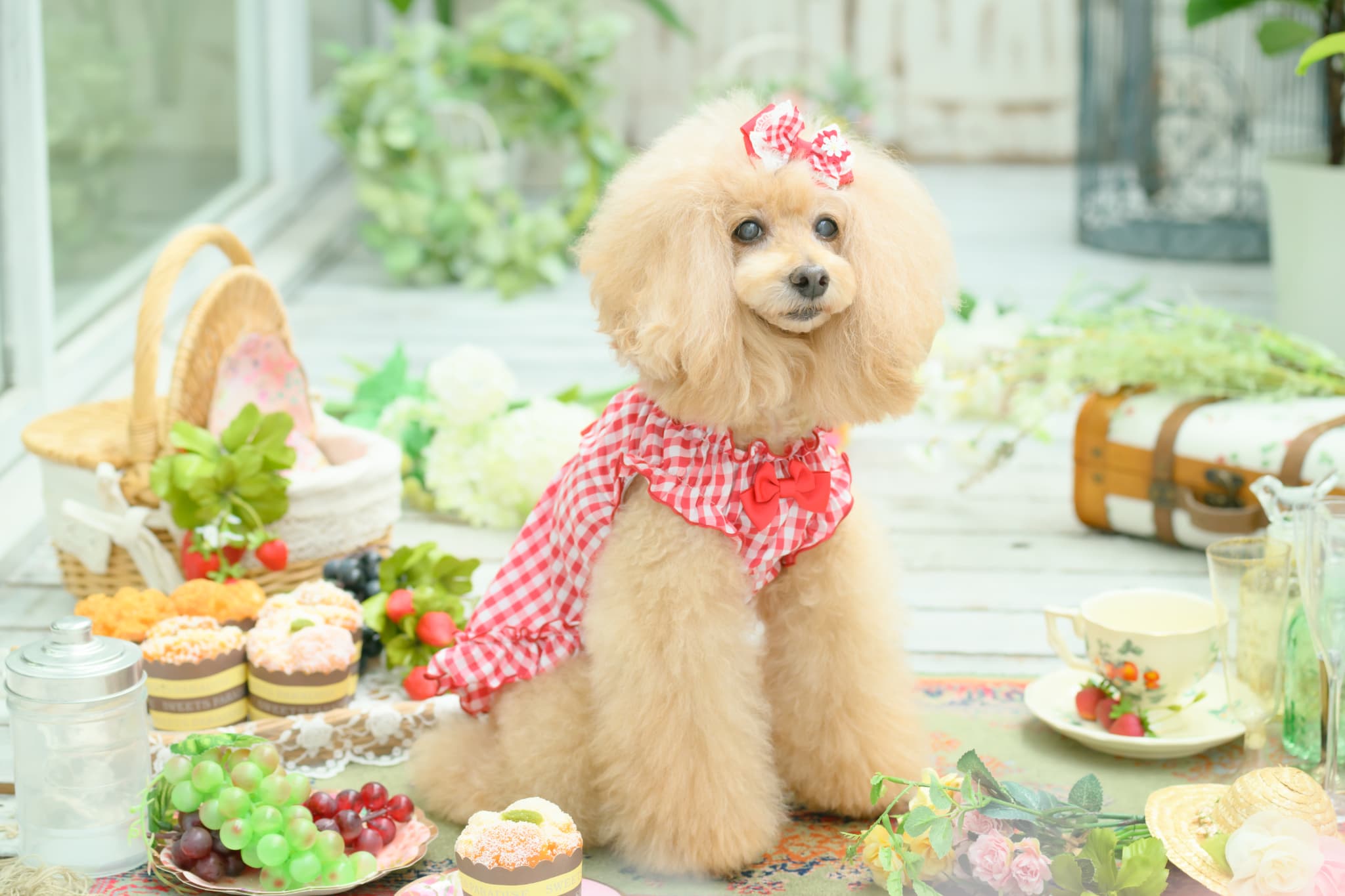 ギンガムチェックバレッタリボン