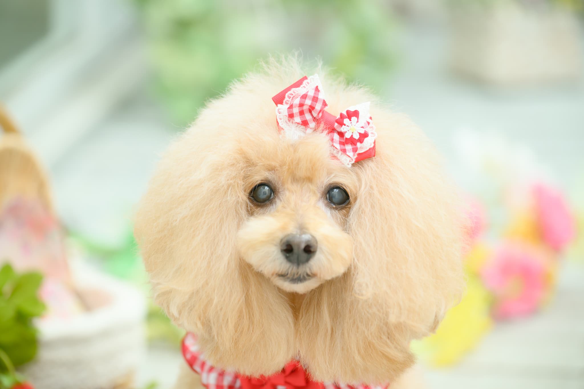 ギンガムチェックバレッタリボン