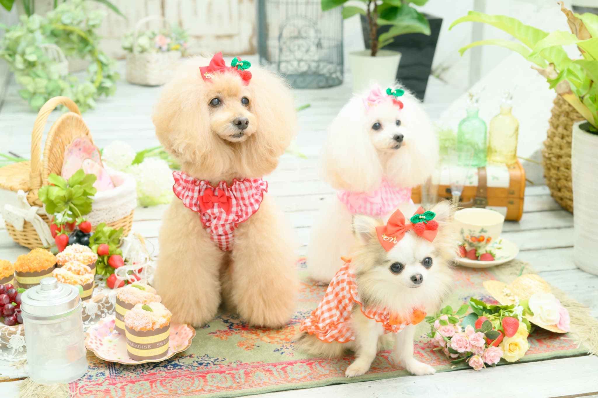 編みぐるみさくらんぼバレッタ