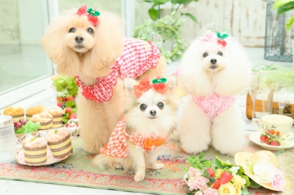 編みぐるみさくらんぼバレッタ