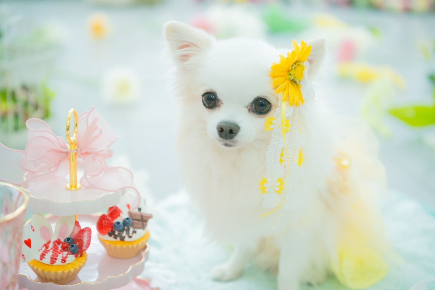 ガーベラロングバレッタリボン