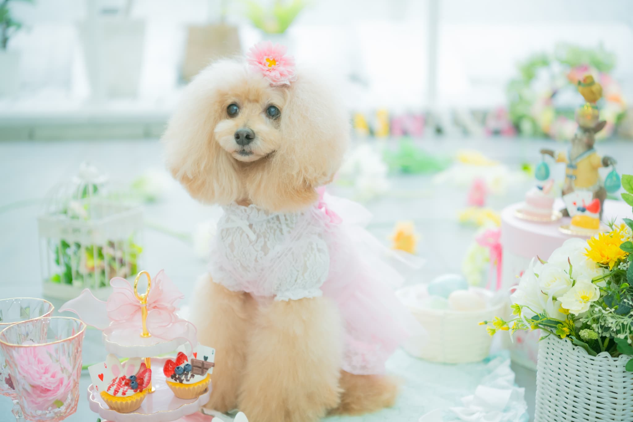 ガーベラバレッタリボン