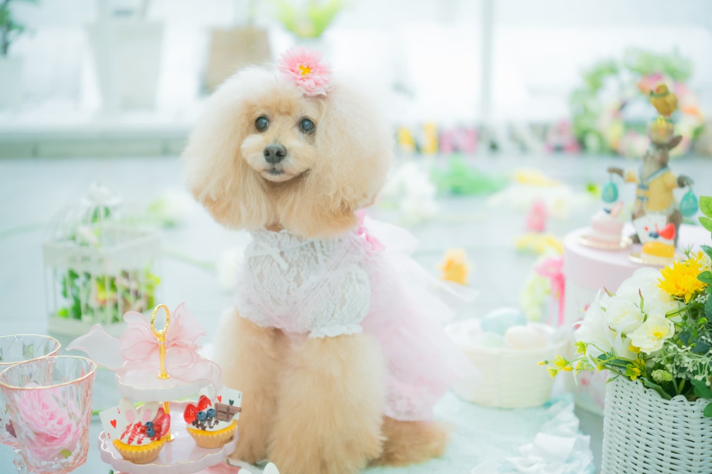 ガーベラバレッタリボン