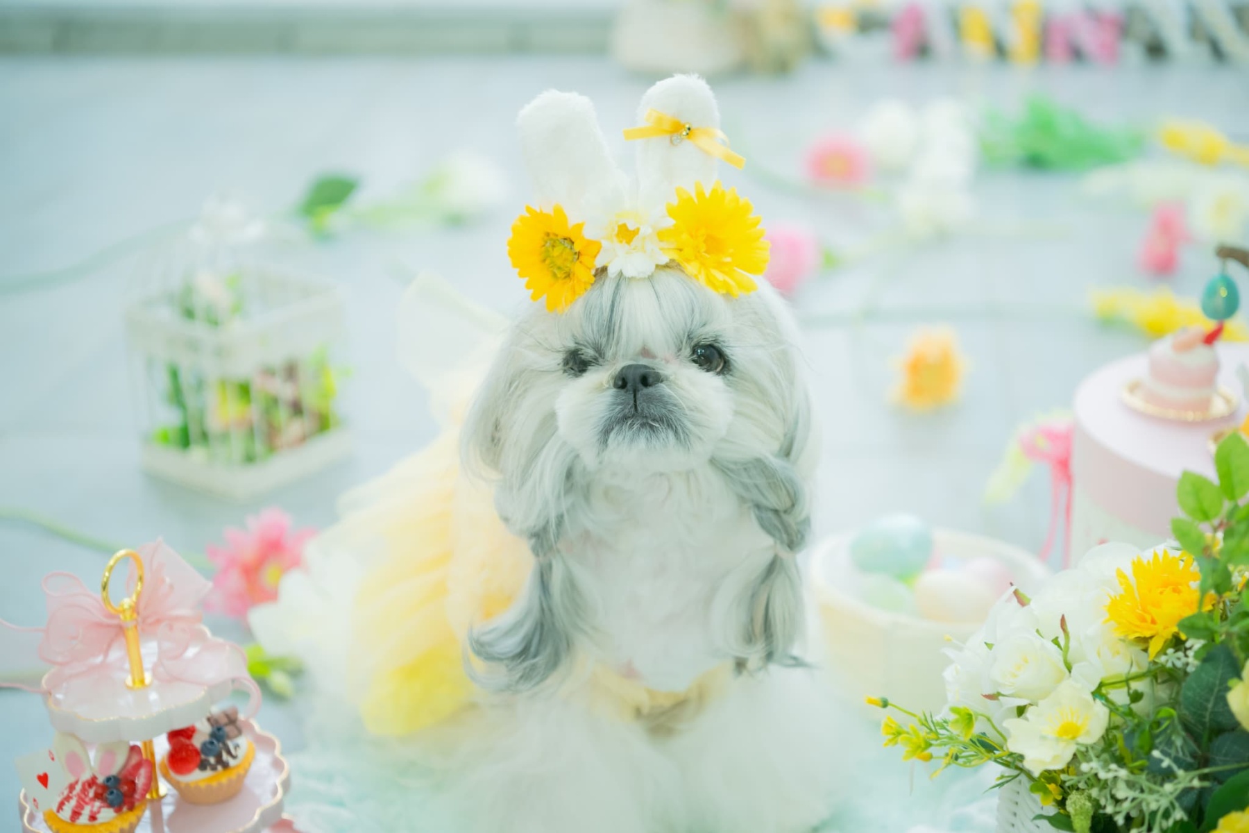 うさ耳バレッタリボンＭ