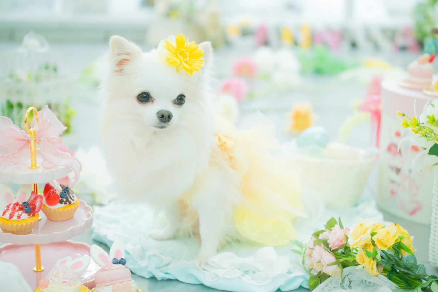 ガーベラバレッタリボン