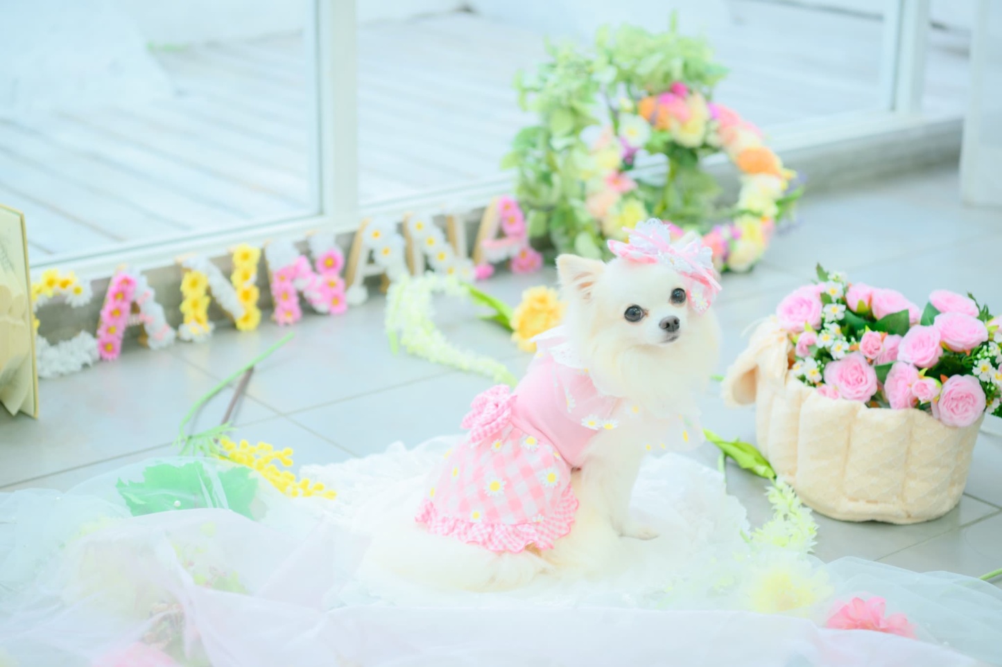 レース＆チェックバレッタリボン