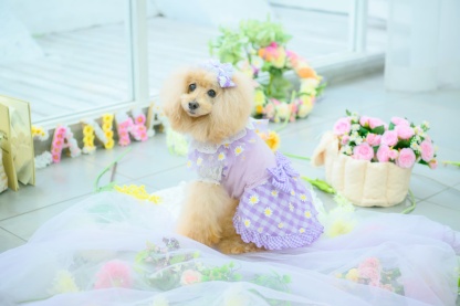 レース＆チェックバレッタリボン