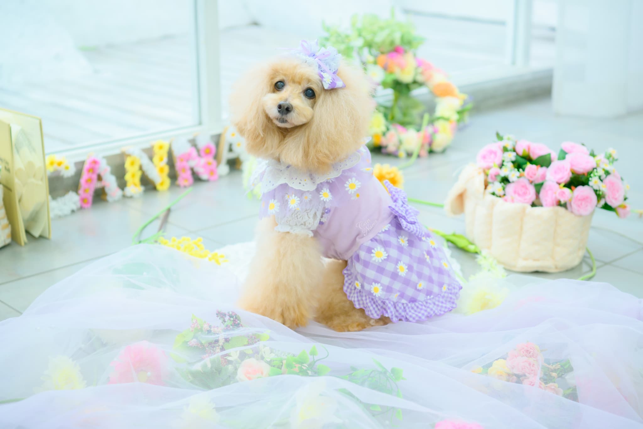 レース＆チェックバレッタリボン