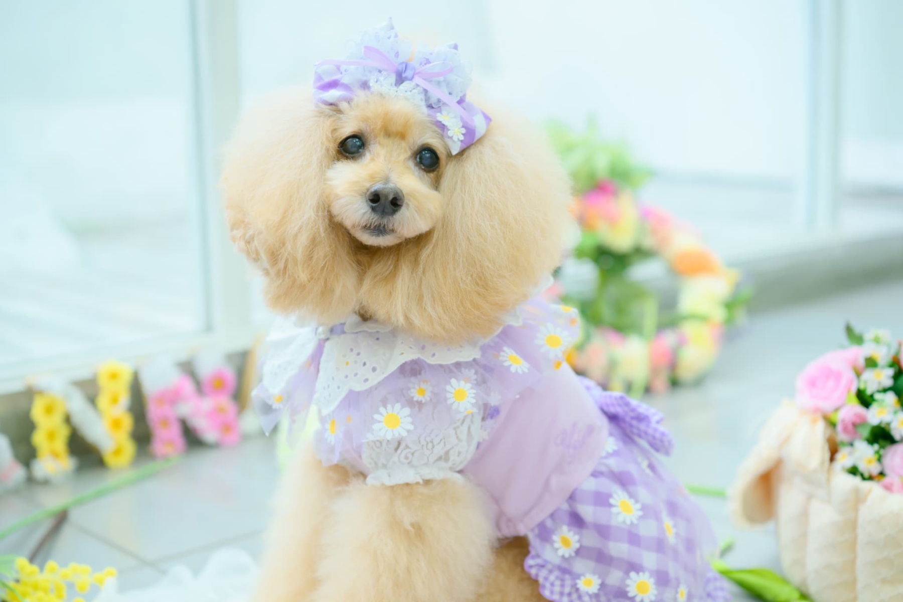 レース＆チェックバレッタリボン