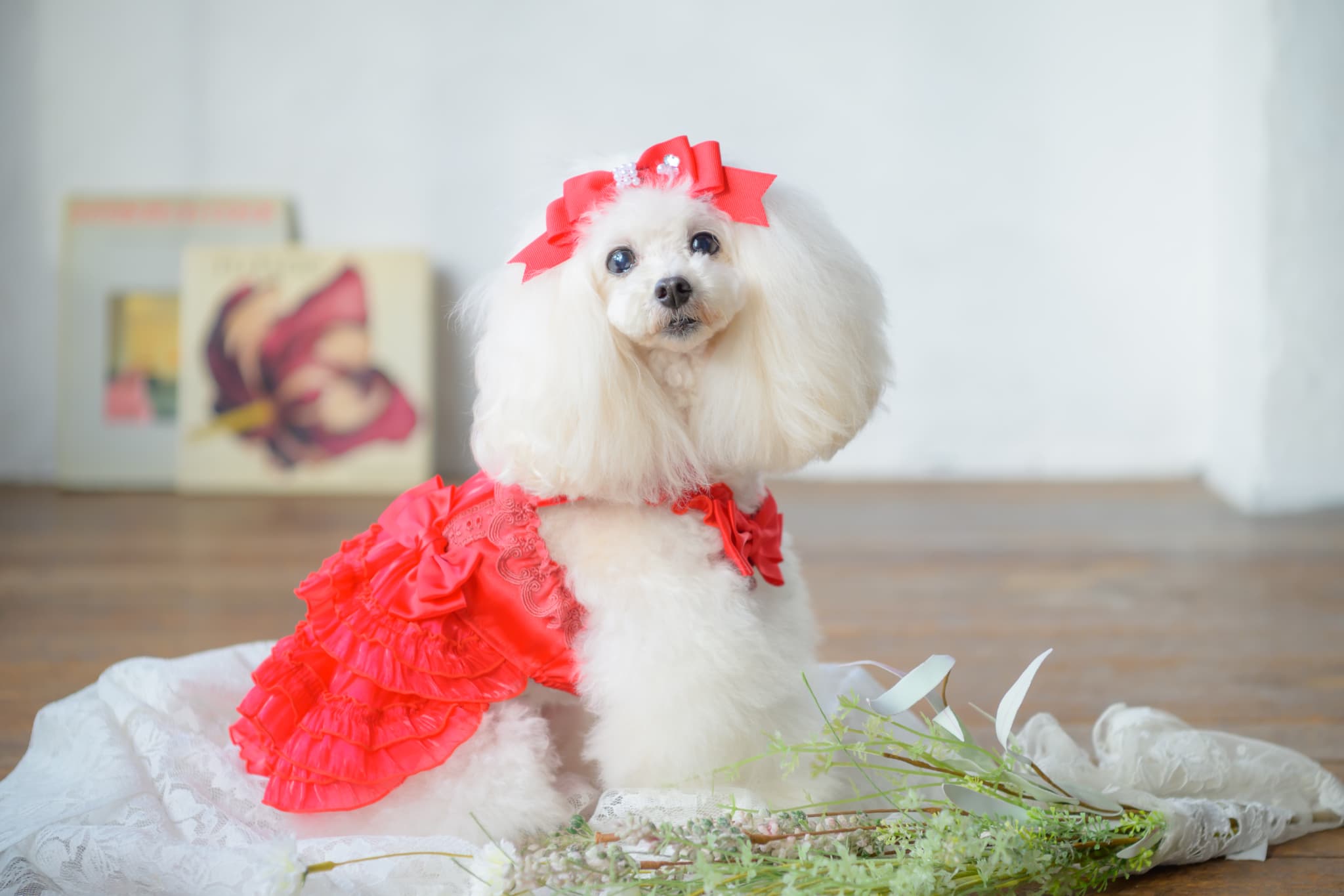 【角度一定スタンド式】きゃんナナ姫リボンバレッタ