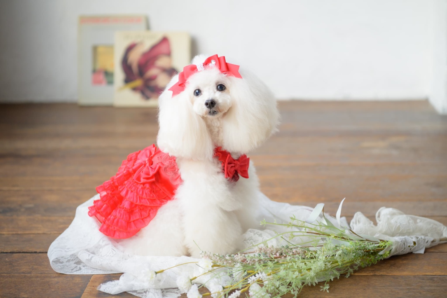 【角度一定スタンド式】きゃんナナ姫リボンバレッタ