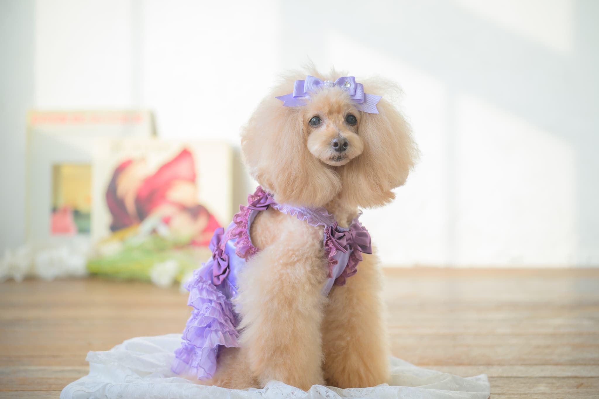 【角度一定スタンド式】きゃんナナ姫リボンバレッタ