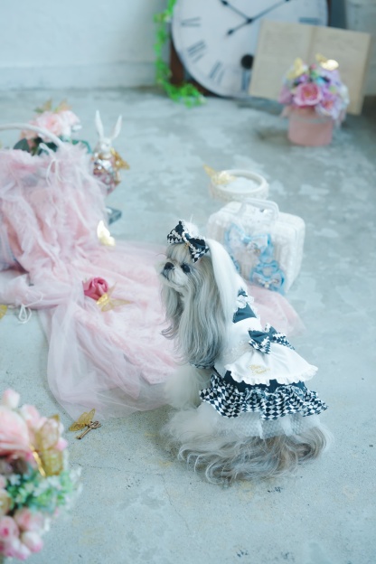 不思議の国のアリスワンピース