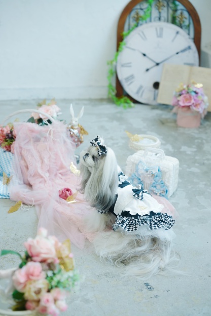 不思議の国のアリスワンピース